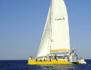 he fabulous catamaran to take you out to see the dolphins and whales