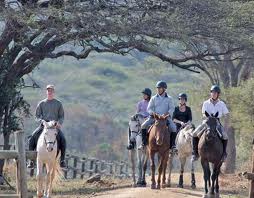 Horse-riding Languedoc Equestrian Centre