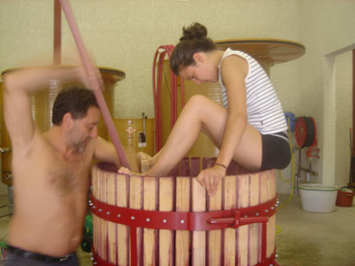 Making wine the traditional bio-dynamic way